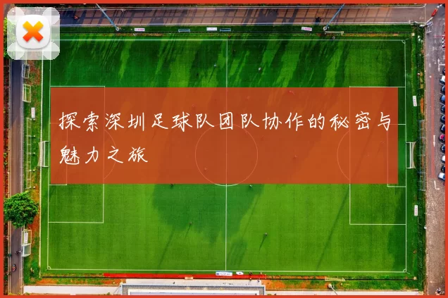 探索深圳足球队团队协作的秘密与魅力之旅