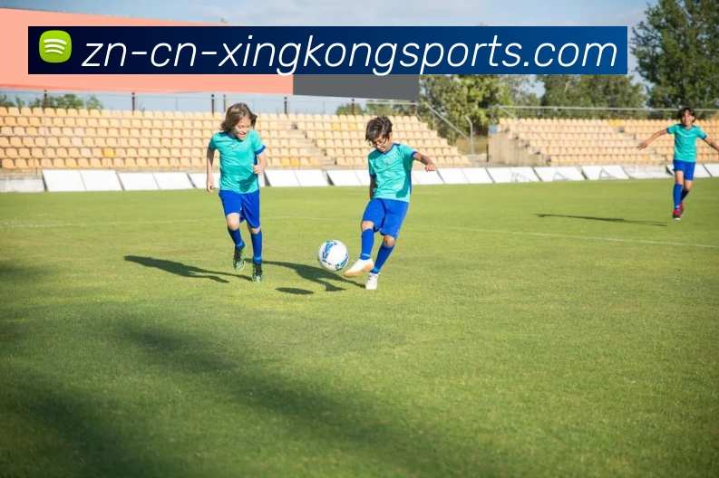 多媒体互动体验